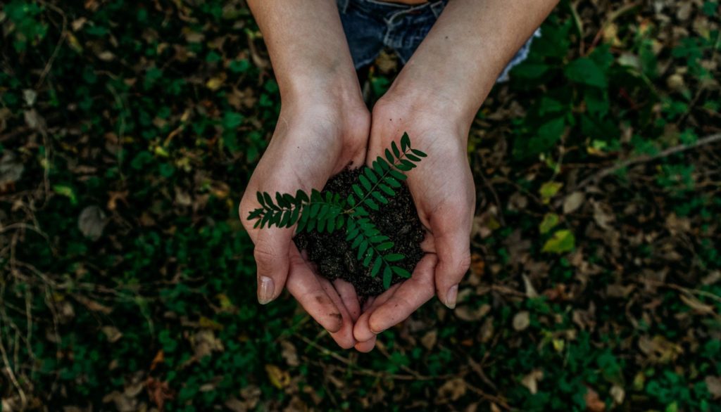 respect environnement